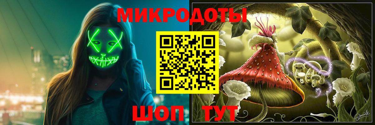 Новосибирск  Псилоцибиновые грибы Psilocybe  Вход с VPN 
